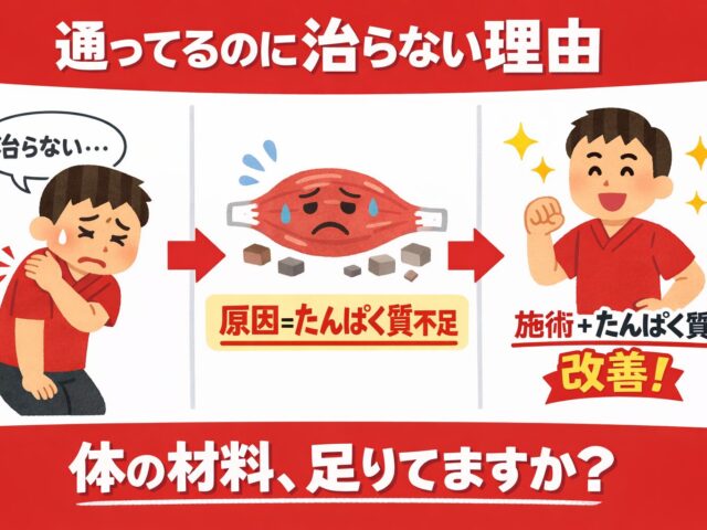たんぱく質で腰痛・肩こり改善 | 施術効果を高める方法